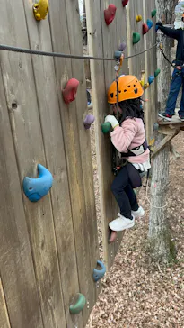 那須の森の空中アスレチック『NOZARU』に投稿された画像（2026/2/28）