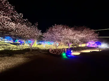 伊豆高原グランイルミに投稿された画像（2026/2/28）