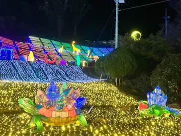 伊豆高原グランイルミに投稿された画像（2026/2/28）