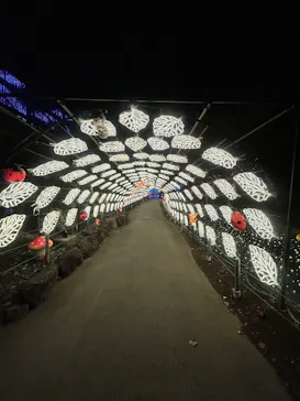 伊豆高原グランイルミに投稿された画像（2026/2/28）