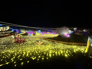 伊豆高原グランイルミに投稿された画像（2026/2/28）