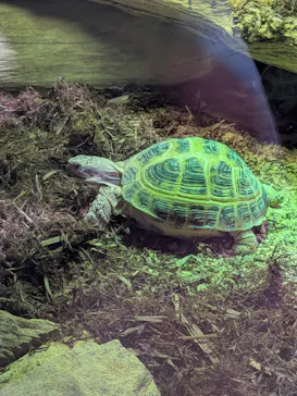 カワスイ 川崎⽔族館に投稿された画像（2026/2/28）