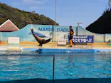 下田海中水族館に投稿された画像（2026/2/28）