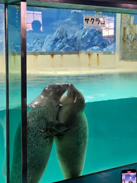 下田海中水族館に投稿された画像（2026/2/28）