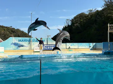 下田海中水族館に投稿された画像（2026/2/28）