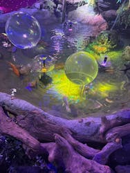 ひらかたパークに投稿された画像（2026/2/28）