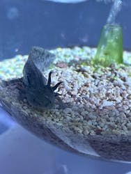 ひらかたパークに投稿された画像（2026/2/28）