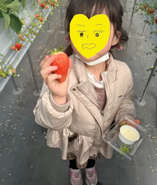 いちごの丘に投稿された画像（2026/2/28）