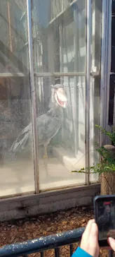 恩賜上野動物園に投稿された画像（2026/2/28）