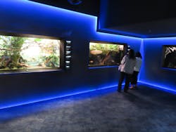 カワスイ 川崎⽔族館に投稿された画像（2026/2/28）