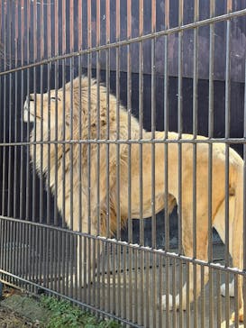 東北サファリパークに投稿された画像（2026/2/28）