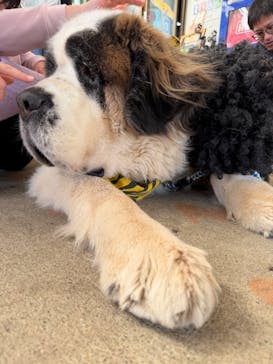 東北サファリパークに投稿された画像（2026/2/28）