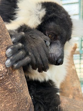 東北サファリパークに投稿された画像（2026/2/28）