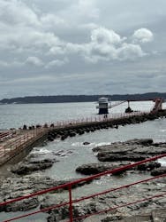 串本海中公園水族館に投稿された画像（2026/2/28）