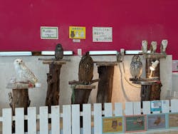 アニタッチPARKイオンモール太田に投稿された画像（2026/2/28）