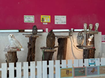 アニタッチPARKイオンモール太田に投稿された画像（2026/2/28）