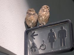 NIFREL（ニフレル）に投稿された画像（2026/2/28）