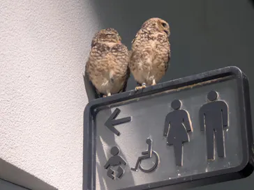 NIFREL（ニフレル）に投稿された画像（2026/2/28）