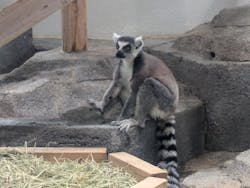 NIFREL（ニフレル）に投稿された画像（2026/2/28）