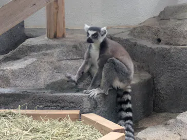 NIFREL（ニフレル）に投稿された画像（2026/2/28）