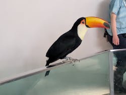 NIFREL（ニフレル）に投稿された画像（2026/2/28）