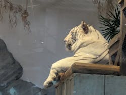 NIFREL（ニフレル）に投稿された画像（2026/2/28）