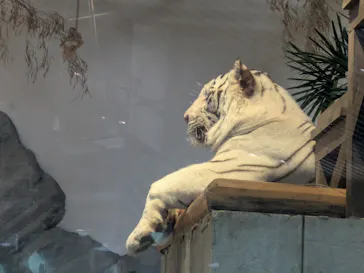 NIFREL（ニフレル）に投稿された画像（2026/2/28）