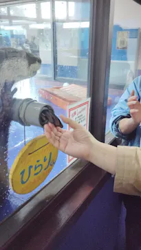 ゼロ距離水族館 伊勢シーパラダイスに投稿された画像（2026/3/1）