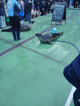 ゼロ距離水族館 伊勢シーパラダイスに投稿された画像（2026/3/1）
