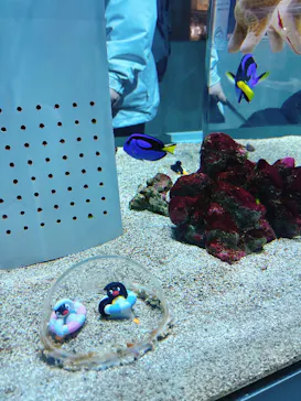 AOAO SAPPOROに投稿された画像（2026/3/1）