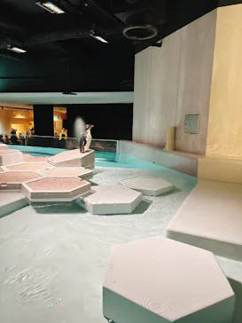 AOAO SAPPOROに投稿された画像（2026/3/1）