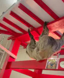 アニタッチららぽーと名古屋みなとアクルスに投稿された画像（2026/3/1）