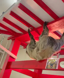 アニタッチららぽーと名古屋みなとアクルスに投稿された画像（2026/3/1）