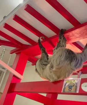 アニタッチららぽーと名古屋みなとアクルスに投稿された画像（2026/3/1）