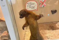 アニタッチららぽーと名古屋みなとアクルスに投稿された画像（2026/3/1）