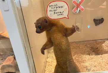 アニタッチららぽーと名古屋みなとアクルスに投稿された画像（2026/3/1）