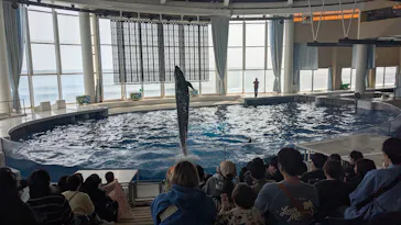 アクアワールド茨城県大洗水族館に投稿された画像（2026/3/1）