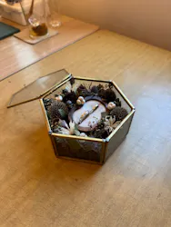 winwin1006（ウィンウィンテンシックス）に投稿された画像（2026/3/1）