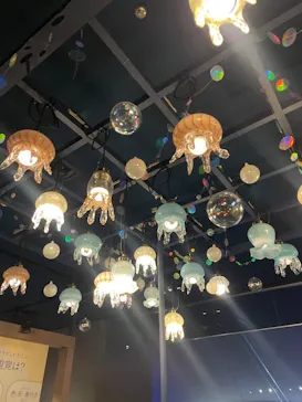 すみだ水族館に投稿された画像（2026/3/1）