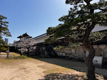 広島城に投稿された画像（2026/3/1）