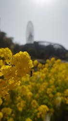 ひらかたパークに投稿された画像（2026/3/1）