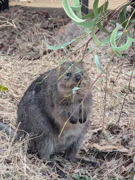 こども動物自然公園（埼玉県公園緑地協会）に投稿された画像（2026/3/1）