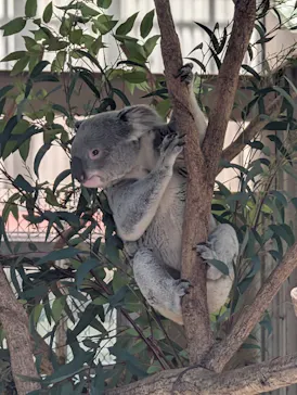 こども動物自然公園（埼玉県公園緑地協会）に投稿された画像（2026/3/1）