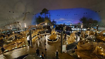 福井県立恐竜博物館に投稿された画像（2026/3/1）