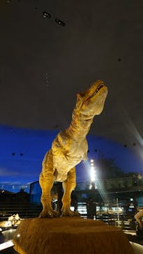 福井県立恐竜博物館に投稿された画像（2026/3/1）