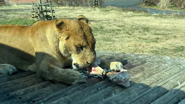 多摩動物公園に投稿された画像（2026/3/1）