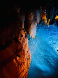 おきなわワールドに投稿された画像（2026/3/1）