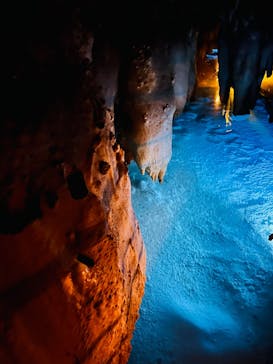 おきなわワールドに投稿された画像（2026/3/1）