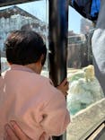 恩賜上野動物園に投稿された画像（2026/3/1）