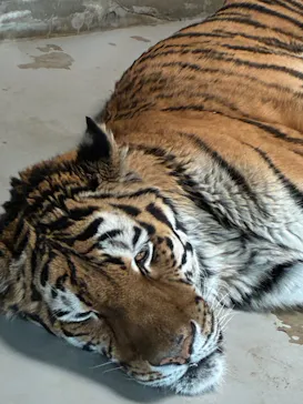 天王寺動物園に投稿された画像（2026/3/1）